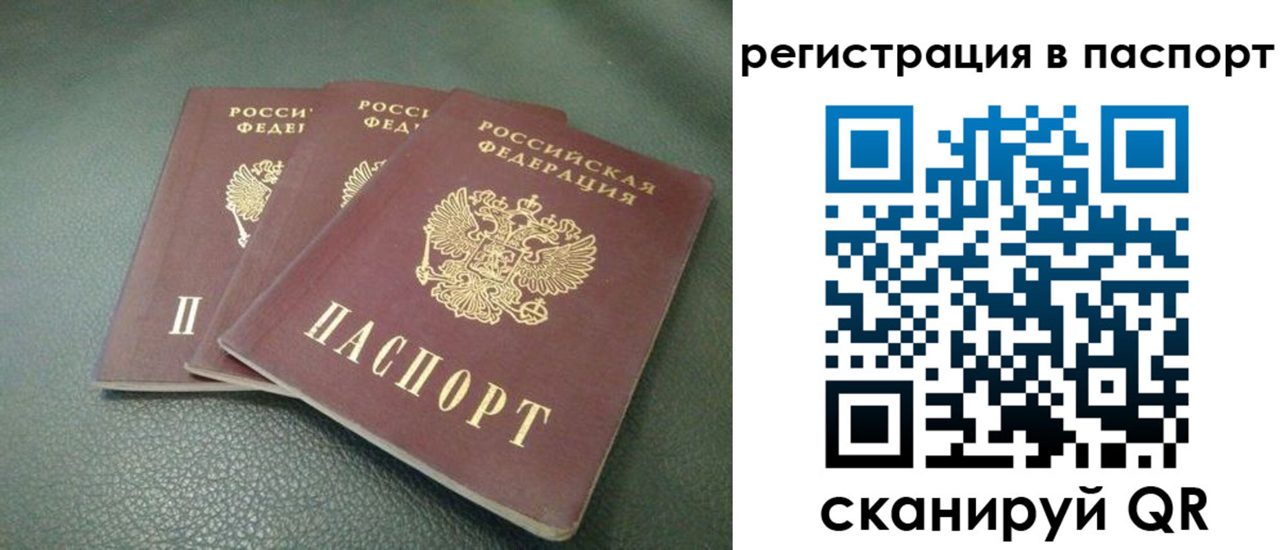 временная регистрация надежно в Заинске